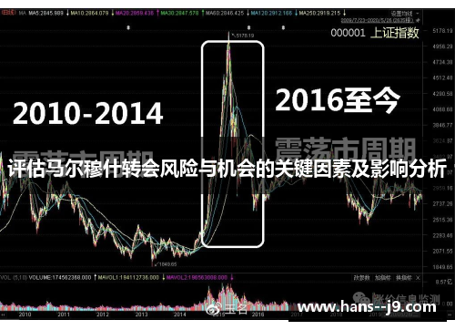 评估马尔穆什转会风险与机会的关键因素及影响分析