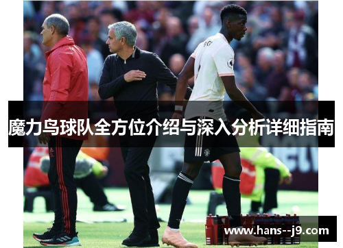 魔力鸟球队全方位介绍与深入分析详细指南 魔力鸟球队全方位介绍与深入分析详细指南