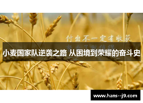 小麦国家队逆袭之路 从困境到荣耀的奋斗史