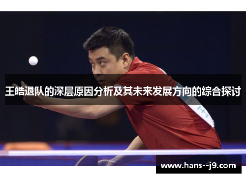 王皓退队的深层原因分析及其未来发展方向的综合探讨