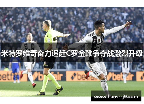 米特罗维奇奋力追赶C罗金靴争夺战激烈升级 米特罗维奇奋力追赶C罗金靴争夺战激烈升级