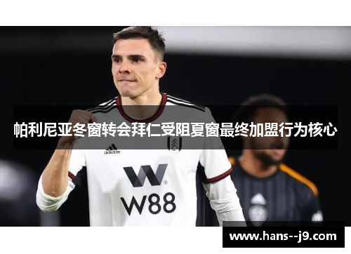 帕利尼亚冬窗转会拜仁受阻夏窗最终加盟行为核心